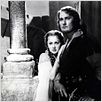 Robin de los Bosques : photo Errol Flynn, Michael Curtiz
