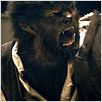 El hombre lobo : photo Benicio Del Toro, Joe Johnston