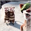 Ice Age 3: El origen de los dinosaurios : photo Carlos Saldanha
