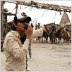 El bueno, el malo y el raro : photo Kim Jee-woon