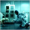 Splice. Experimento mortal : photo Sarah Polley, Vincenzo Natali