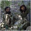 Che, Guerrilla : photo Benicio Del Toro, Steven Soderbergh