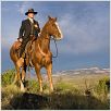 Appaloosa : photo Ed Harris
