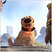 Up : photo Bob Peterson, Pete Docter