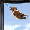 Up : photo Bob Peterson, Pete Docter