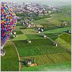 Up : photo Bob Peterson, Pete Docter