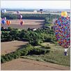 Up : photo Bob Peterson, Pete Docter