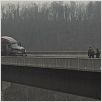 The Road (La carretera) : photo John Hillcoat