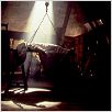 Frankenstein : photo Kenneth Branagh