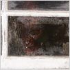 Exorcismo en Connecticut : photo