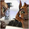 El Lince Perdido : photo