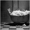 Mary and Max : photo Adam Elliot
