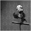 Mary and Max : photo Adam Elliot