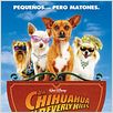 Un chihuahua en Beverly Hills : poster