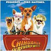 Un chihuahua en Beverly Hills : poster