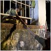 Slumdog Millionaire : photo