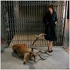Visage : photo Fanny Ardant, Tsai Ming-liang