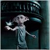 Harry Potter y las reliquias de la muerte: Parte 1 : photo David Yates
