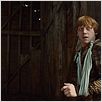 Harry Potter y las reliquias de la muerte: Parte 1 : photo David Yates, Rupert Grint