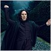 Harry Potter y las reliquias de la muerte: Parte 1 : photo Alan Rickman, David Yates