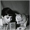 El diario de Ana Frank : photo