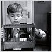 La cinta blanca : photo Michael Haneke