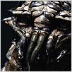 District 9 : photo Neill Blomkamp