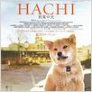 Siempre a tu lado. Hachiko : poster Lasse Hallström
