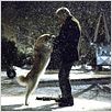 Siempre a tu lado. Hachiko : photo Lasse Hallström