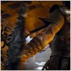 Furia de titanes : photo Louis Leterrier