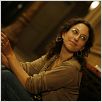 El erizo : photo Mona Achache