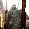 Solomon Kane : photo Michael J. Bassett