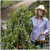 No es tan fácil : photo Meryl Streep, Nancy Meyers