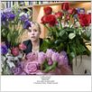 En la boda de mi hermana : photo Kristen Bell
