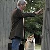 Siempre a tu lado. Hachiko : photo Richard Gere