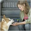 Siempre a tu lado. Hachiko : photo