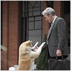 Siempre a tu lado. Hachiko : photo Richard Gere