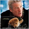 Siempre a tu lado. Hachiko : poster