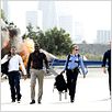 Ladrones : photo Chris Brown, Hayden Christensen, Idris Elba, John Luessenhop, Michael Ealy
