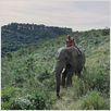 Viaje mágico a África : photo