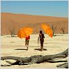 Viaje mágico a África : photo
