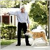 Siempre a tu lado. Hachiko : photo Lasse Hallström, Richard Gere