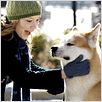 Siempre a tu lado. Hachiko : photo Lasse Hallström