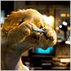 Como perros y gatos: La revancha de Kitty Galore : photo Brad Peyton, Kevin Lima
