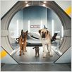 Como perros y gatos: La revancha de Kitty Galore : photo Brad Peyton, Kevin Lima