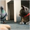 Como perros y gatos: La revancha de Kitty Galore : photo Brad Peyton, Kevin Lima
