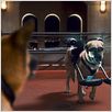 Como perros y gatos: La revancha de Kitty Galore : photo Brad Peyton, Kevin Lima