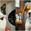 Como perros y gatos: La revancha de Kitty Galore : photo Brad Peyton, Kevin Lima
