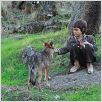 Entre lobos : photo