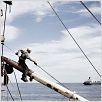 Anclados : photo